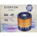 Everton RT-891 Müzik Kutusu Radyo