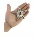 Gümüş Çelik Ninja Yıldızları Seti - 3 lü Shuriken Takımı